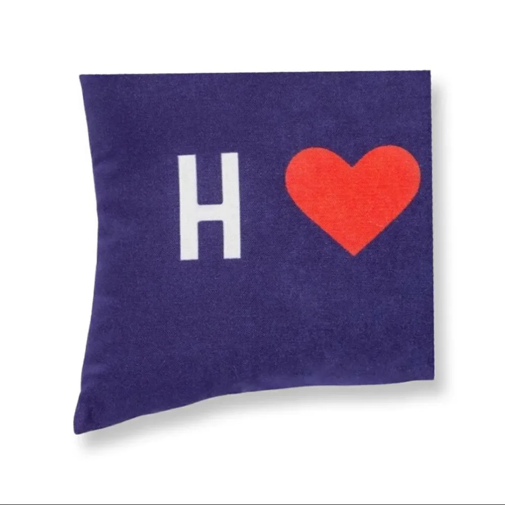 Sun Squad Indoor/Outdoor Throw Pillows. “Home”. Patriotic/Americana.